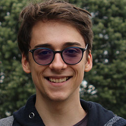 Sorin Sebastian