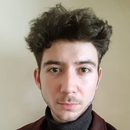 Andreescu Radu-Cristian